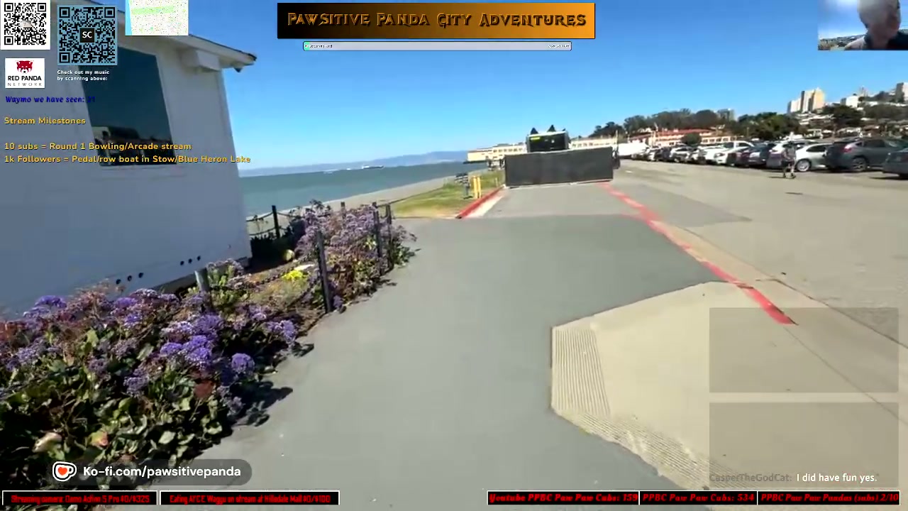 Streamer or chat requested clip.
