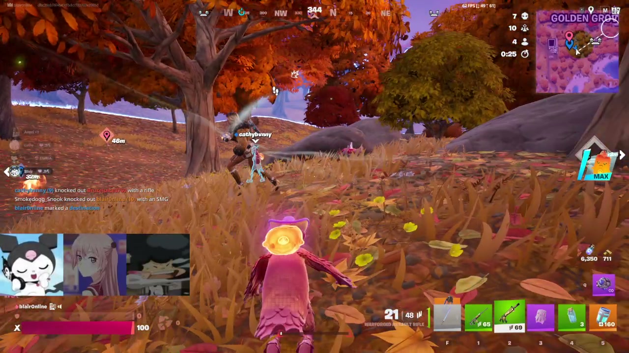 Streamer or chat requested clip.